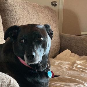 Meet your Posher, Maria